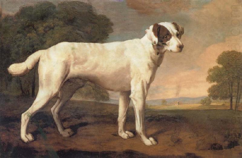 Dog, George Stubbs